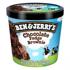 Ben & Jerry's Shorty Chocolate Fudge Brownie